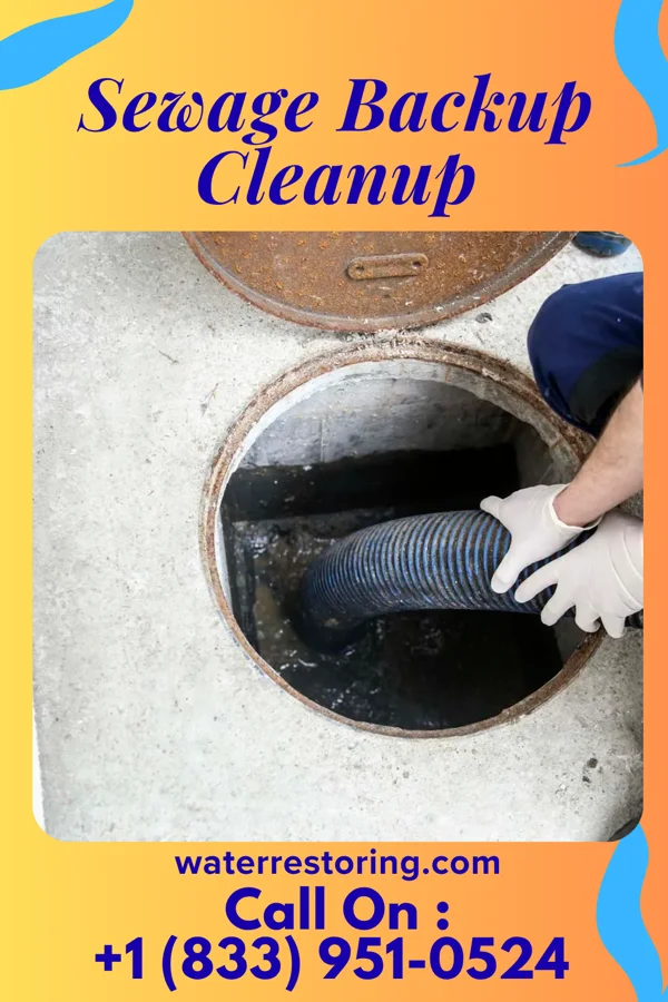 Sewage Backup Cleanup in Auburn Hills, MI